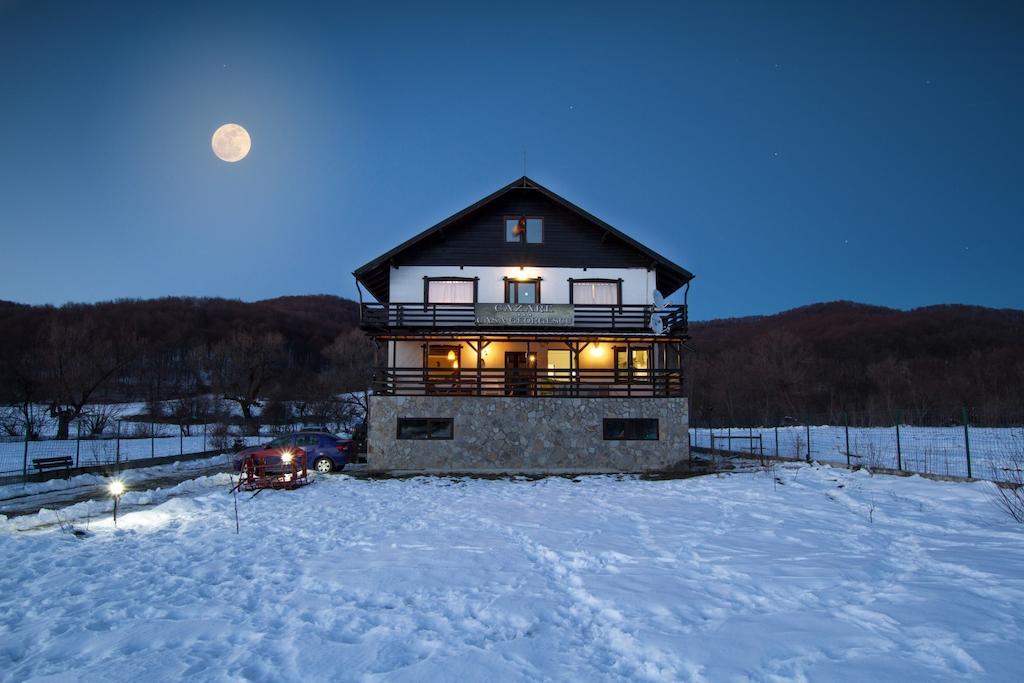 Casa Georgescu Ξενοδοχείο Rîşnov Εξωτερικό φωτογραφία